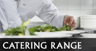 Generic Catering